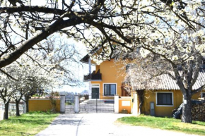 Studio & Ferienwohnung Temmel, Kitzeck Im Sausal